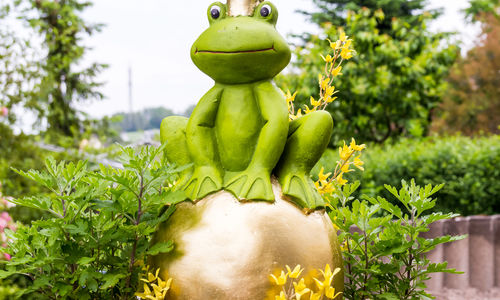 Frosch König im Garten des Kosmetikstudios
